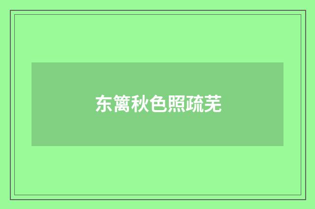 东篱秋色照疏芜