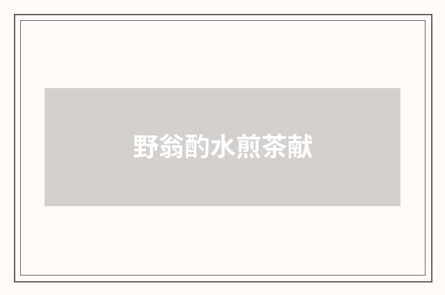 野翁酌水煎茶献