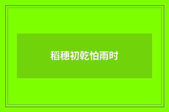 稻穗初乾怕雨时