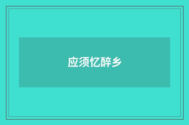 应须忆醉乡