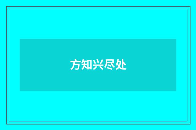 方知兴尽处