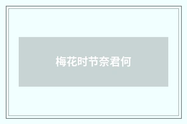 梅花时节奈君何