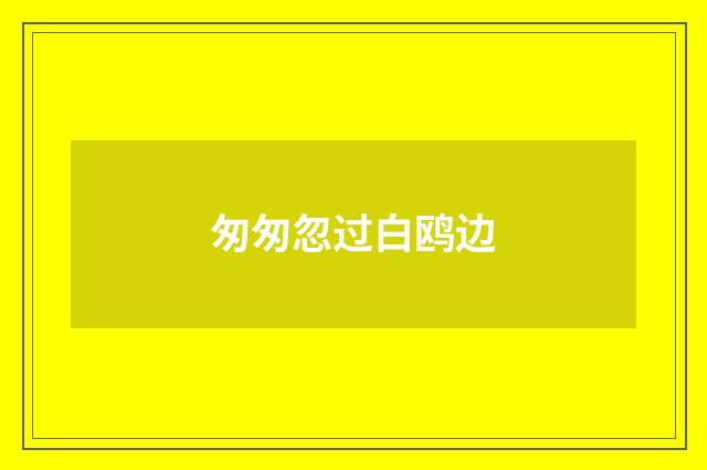 匆匆忽过白鸥边