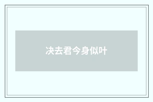 决去君今身似叶