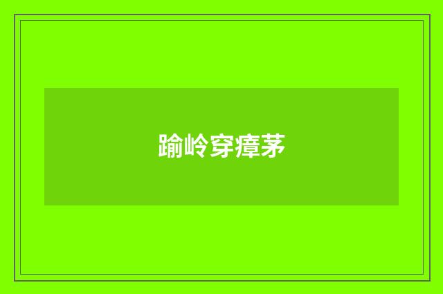 踰岭穿瘴茅
