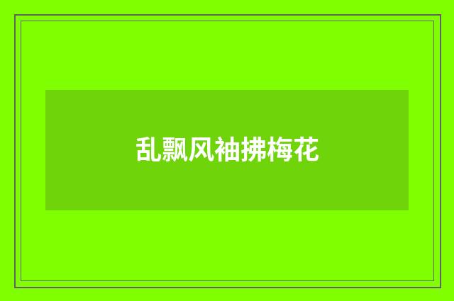 乱飘风袖拂梅花