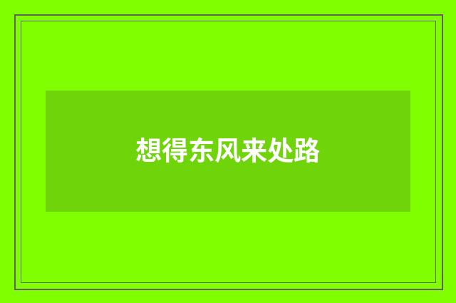 想得东风来处路