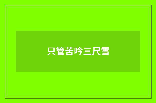 只管苦吟三尺雪