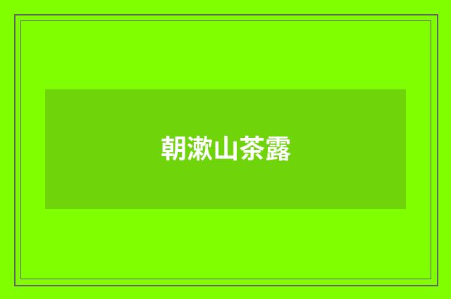 朝漱山茶露