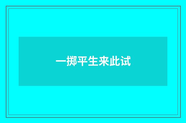 一掷平生来此试