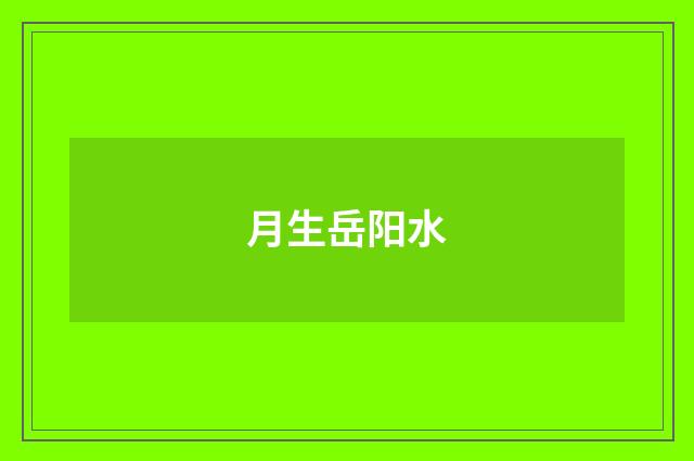 月生岳阳水