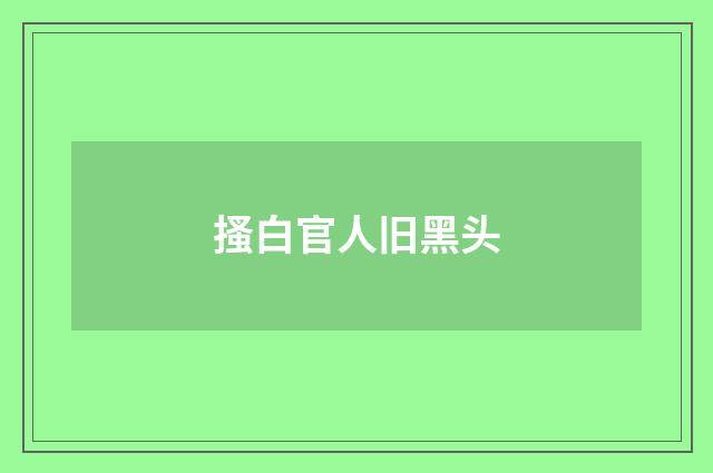 搔白官人旧黑头