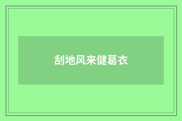 刮地风来健葛衣