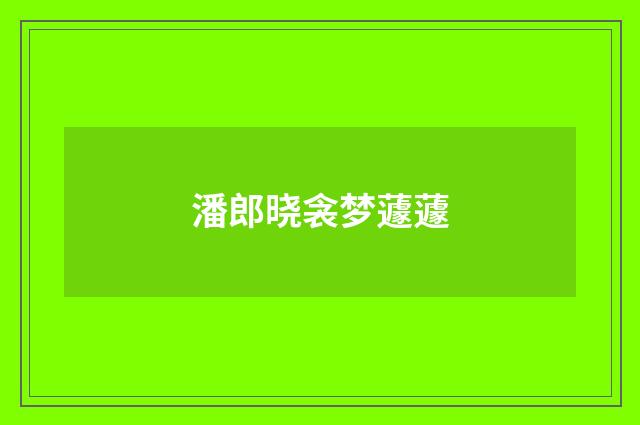 潘郎晓衾梦蘧蘧