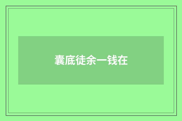 囊底徒余一钱在