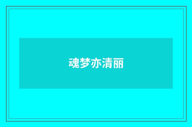 魂梦亦清丽