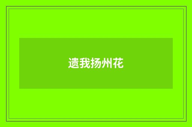 遗我扬州花