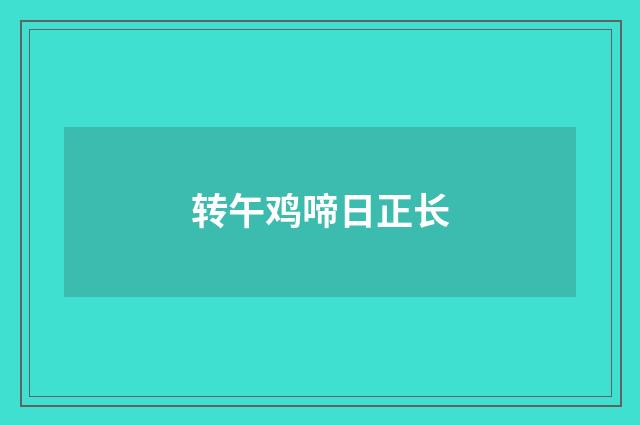 转午鸡啼日正长