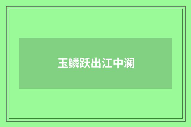 玉鳞跃出江中澜