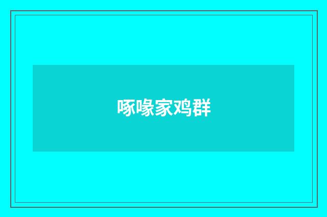 啄喙家鸡群