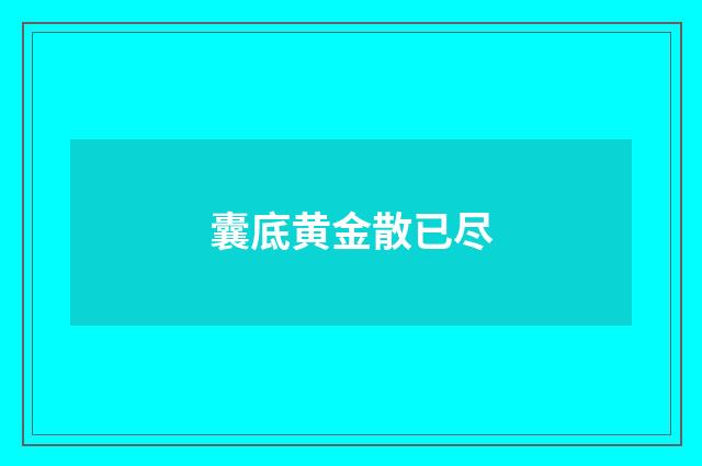 囊底黄金散已尽