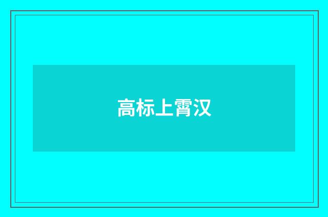 高标上霄汉