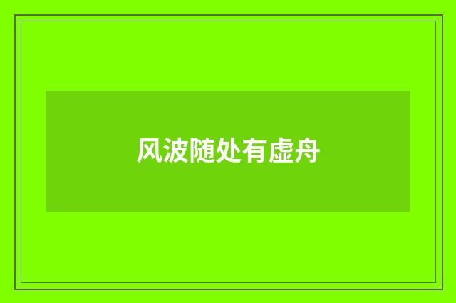风波随处有虚舟