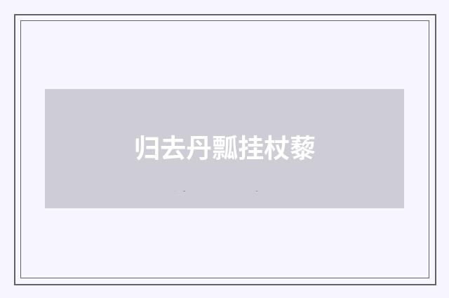 归去丹瓢挂杖藜
