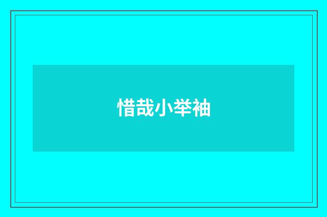 惜哉小举袖