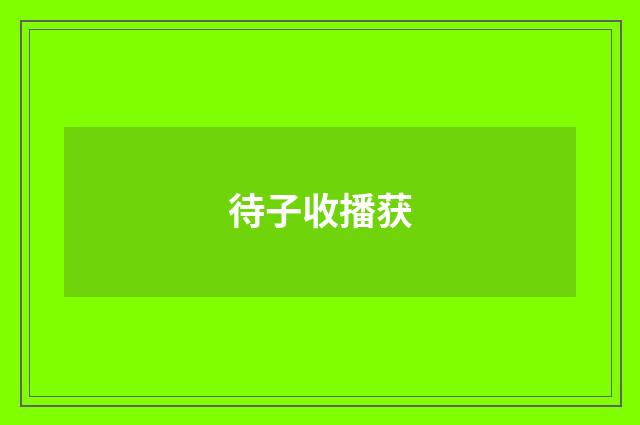 待子收播获