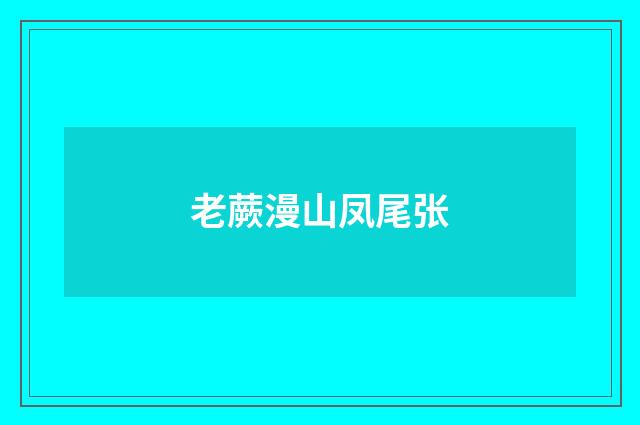 老蕨漫山凤尾张