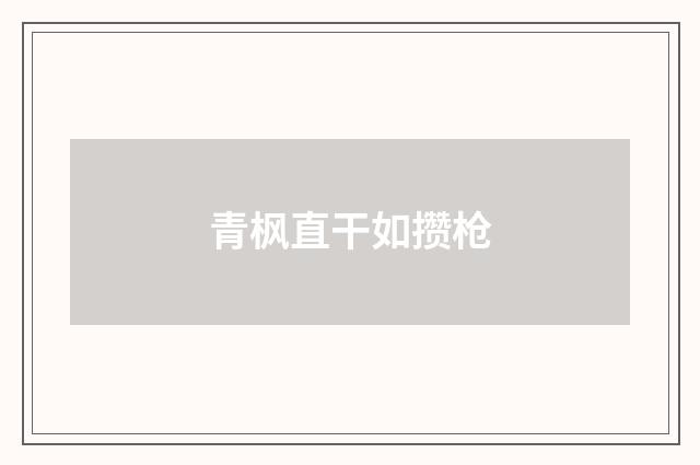 青枫直干如攒枪