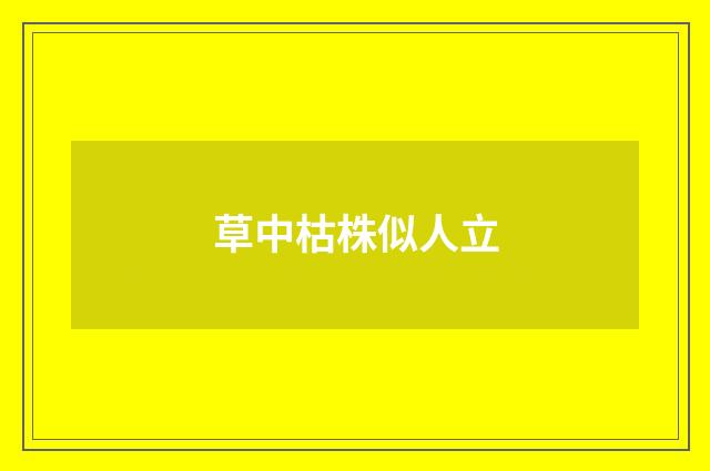 草中枯株似人立