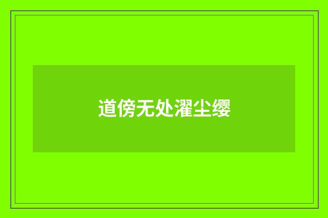 道傍无处濯尘缨