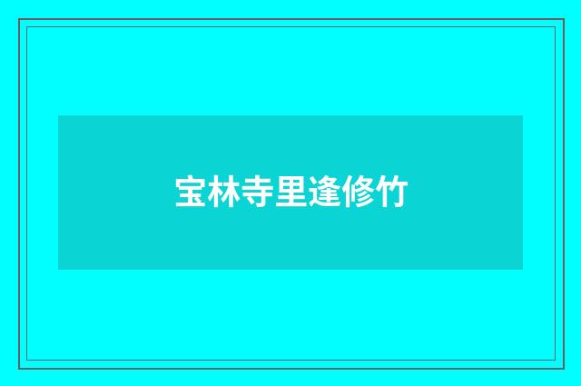 宝林寺里逢修竹