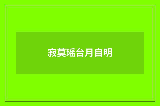 寂莫瑶台月自明