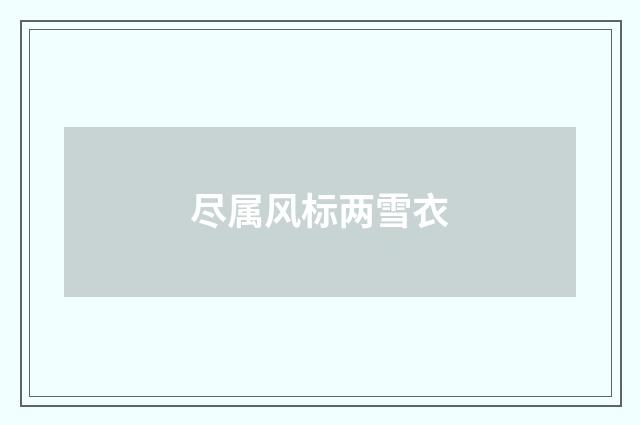 尽属风标两雪衣