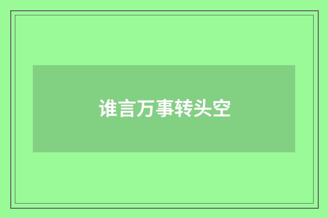谁言万事转头空