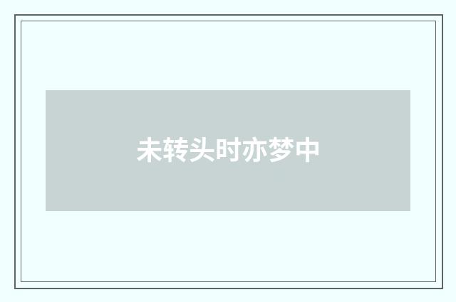 未转头时亦梦中