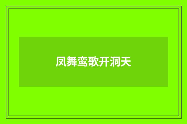 凤舞鸾歌开洞天