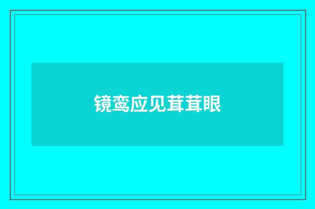 镜鸾应见茸茸眼