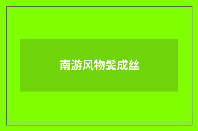 南游风物鬓成丝
