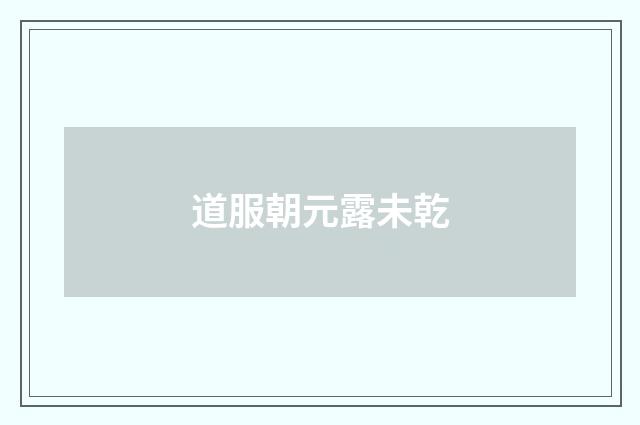 道服朝元露未乾