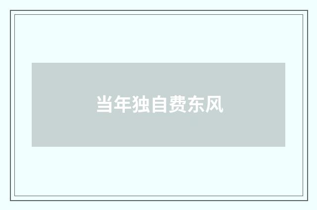 当年独自费东风