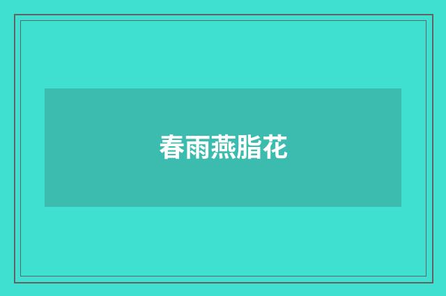 春雨燕脂花