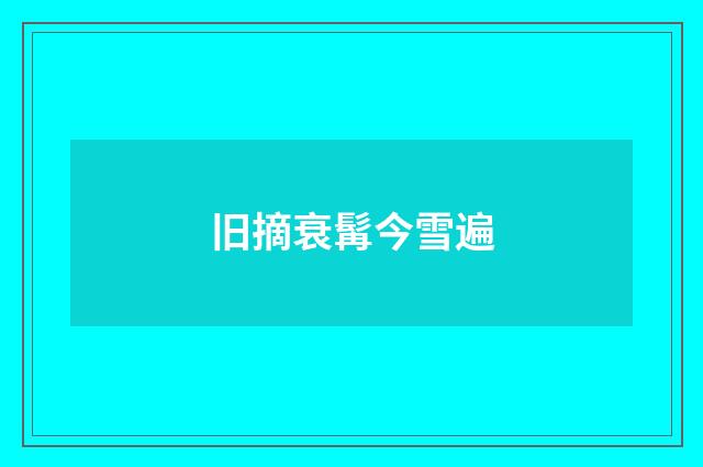 旧摘衰髯今雪遍