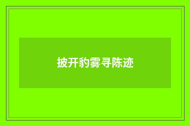 披开豹雾寻陈迹