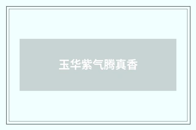 玉华紫气腾真香