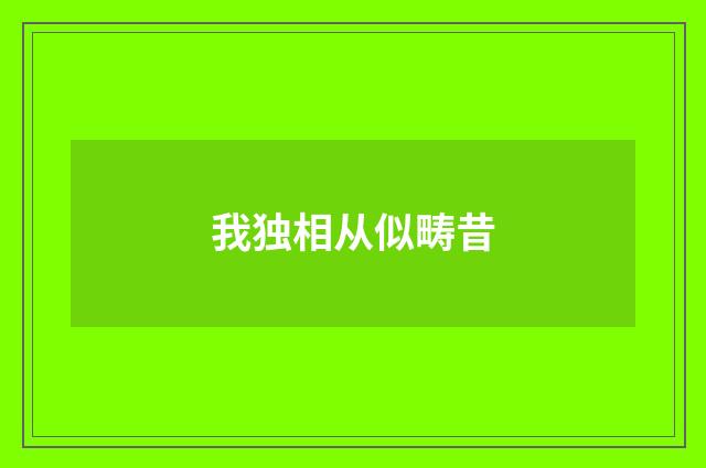 我独相从似畴昔