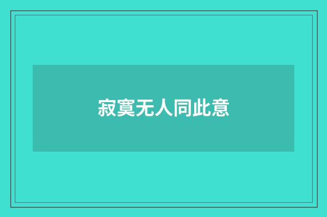 寂寞无人同此意